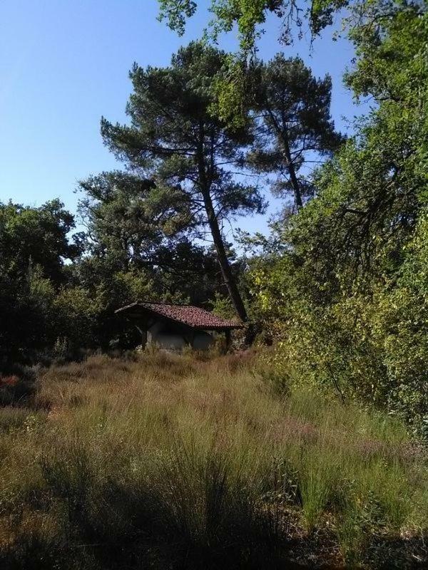 L'Atelier Du Grison Bed & Breakfast Callen Luaran gambar