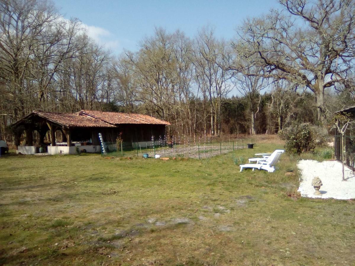 L'Atelier Du Grison Bed & Breakfast Callen Luaran gambar